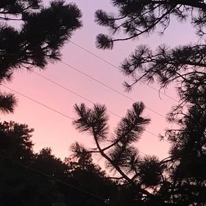 Meet your Posher, Cyrus